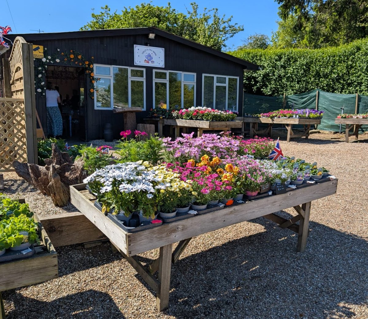 NeilInHe's tweet image. A great spot for tea &amp;amp; cake Violet&apos;s Tea Room, Guestling Thorn, Harborough @SPBauthor