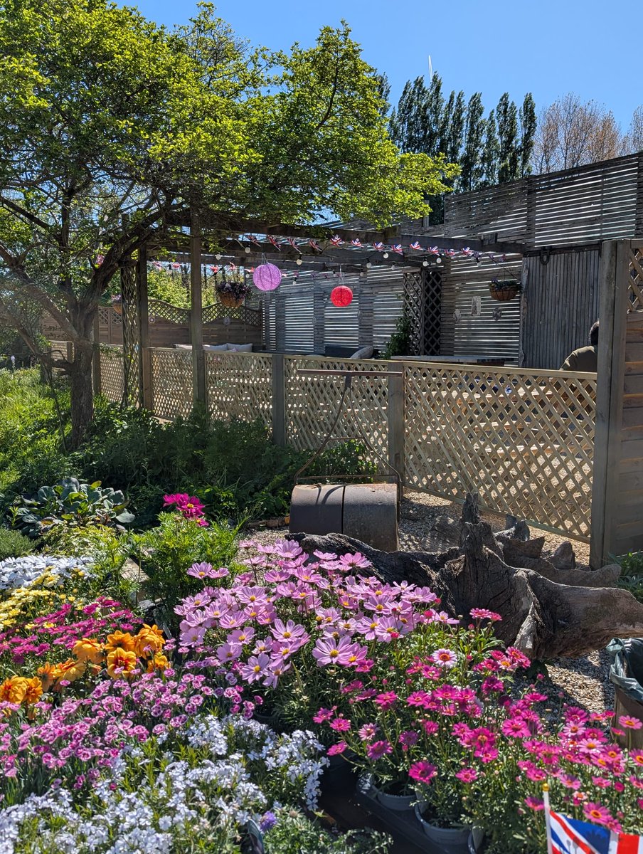 NeilInHe's tweet image. A great spot for tea &amp;amp; cake Violet&apos;s Tea Room, Guestling Thorn, Harborough @SPBauthor