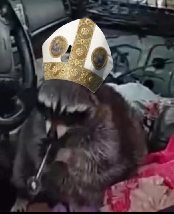 Jskellinton78's tweet image. Congratulations to the new pope