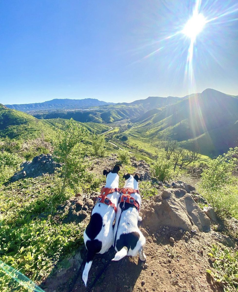 G1rly_Tattooed's tweet image. It's Saturday, & the weekend is officially in full swing.
Whether you're planning to conquer mountains, catch up on your favorite book, or just enjoy some much-needed R&R, remember to make the most of it.
Have a fabulous weekend ♥️
#SaturdayMorning