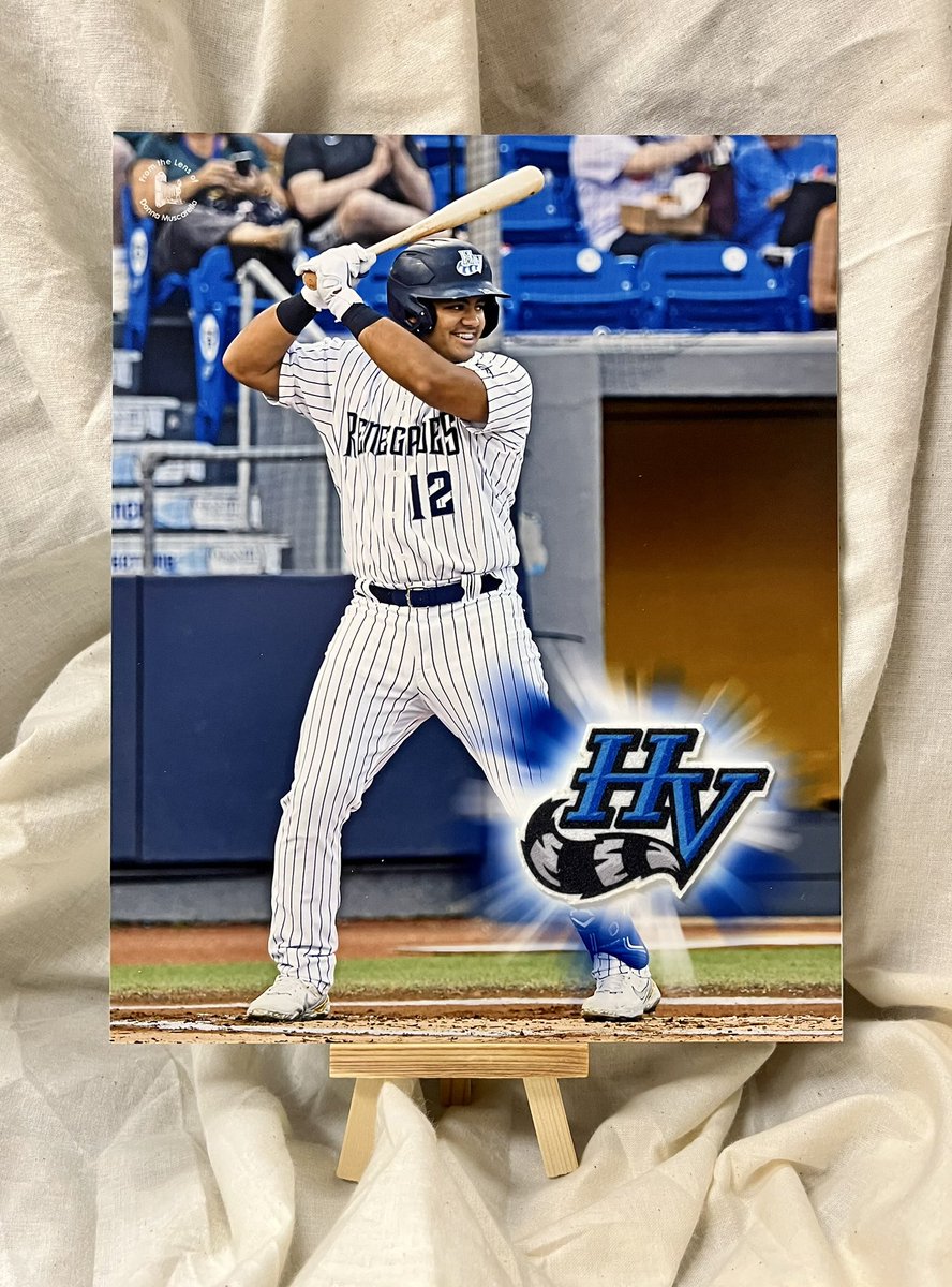 Congratulations to The Martian on his big game last night!

Here’s my mixed-media artwork of Jasson Domínguez. The 10”x8” piece combines a dry-mounted print of my photo captured while he was with the Yankees’ High-A Renegades &amp; a hand-cut felt logo coaster.

For sale $60+shipping