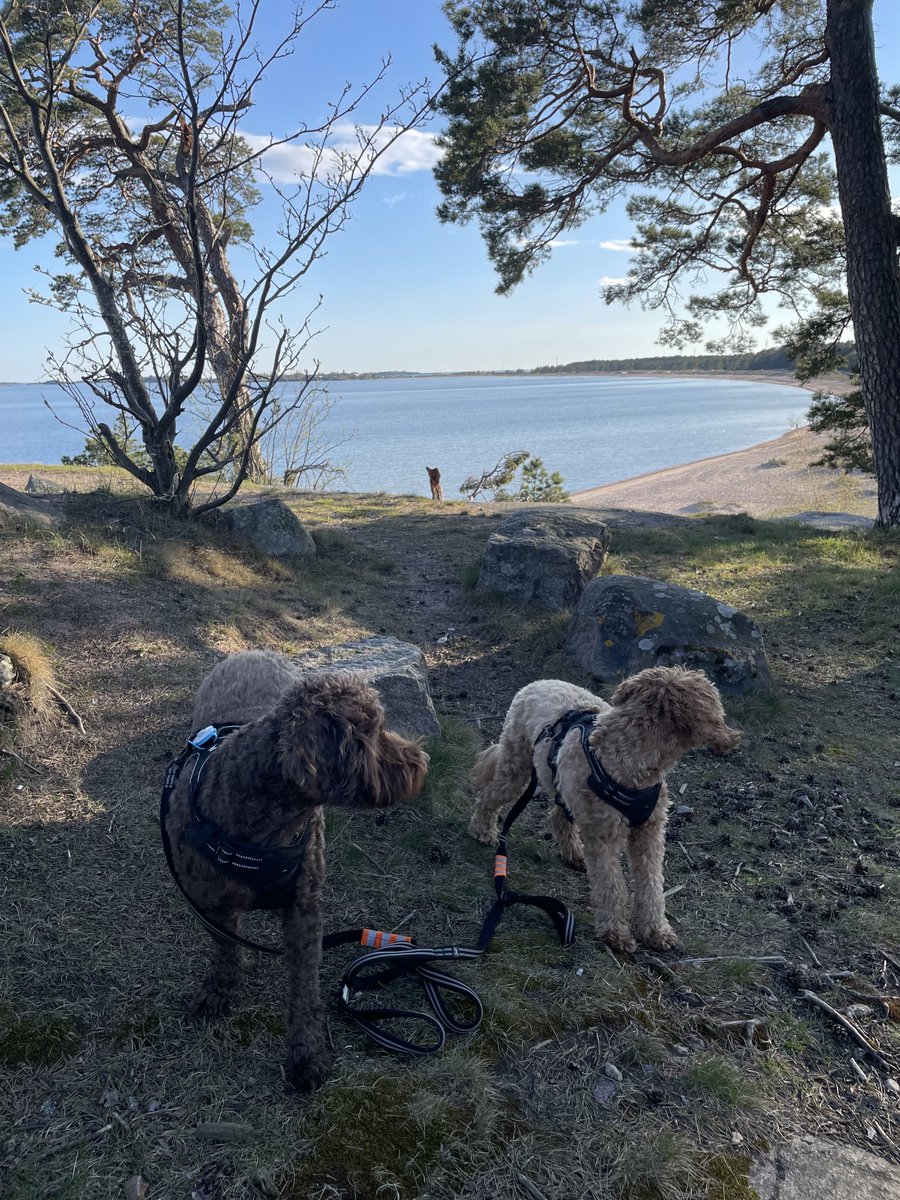 Kevät ja Hanko😃. Saattaa olla lähes voittamaton yhdistelmä.