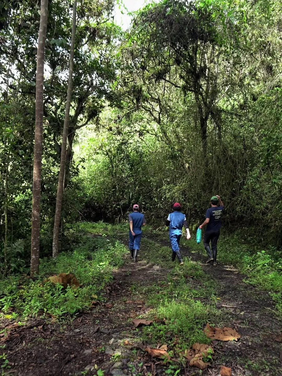 AmbientalUDLA's tweet image. Salida de Campo a Gualea
Reserva TENKA RESEARCH AND LEARNING 🍃🧑🏼🔬
#aprenderhaciendo
#salidasdecampo
@UDLAEcuador
