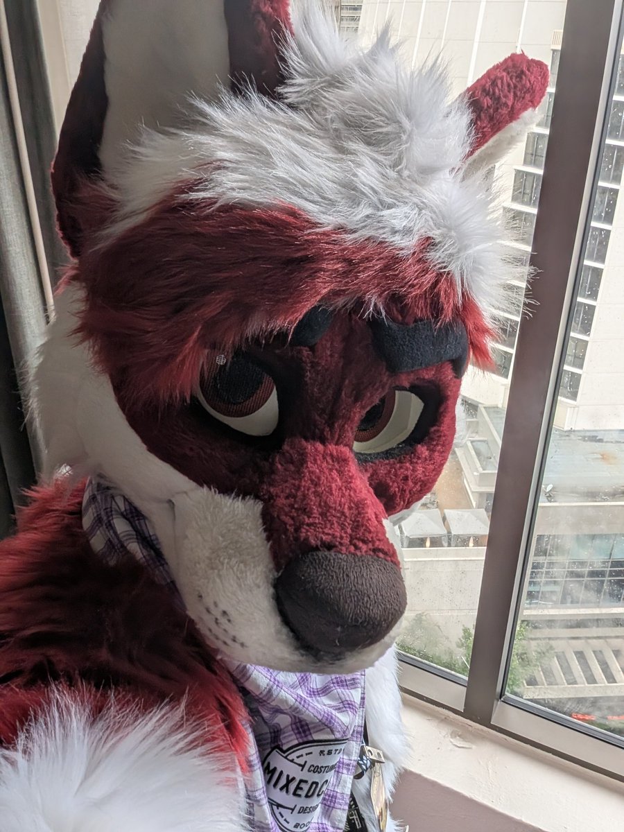 Suiting around the lobby <a href="/FurryWeekend/">Furry Weekend Atlanta | May 7-10, 2026</a> 
Come and say hi ✨