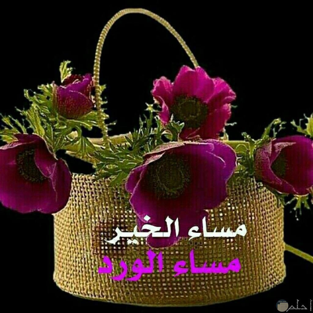 خالد عبد الله tweet media