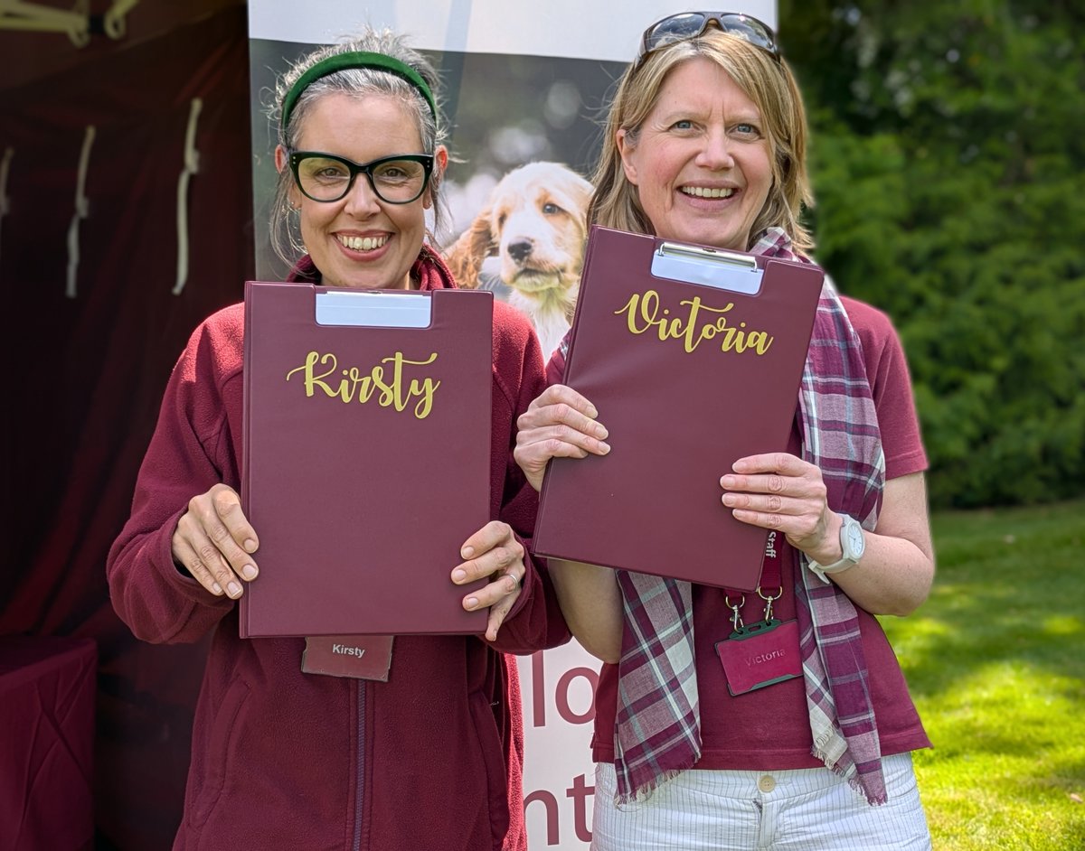 Volunteering H-Dogs tweet media