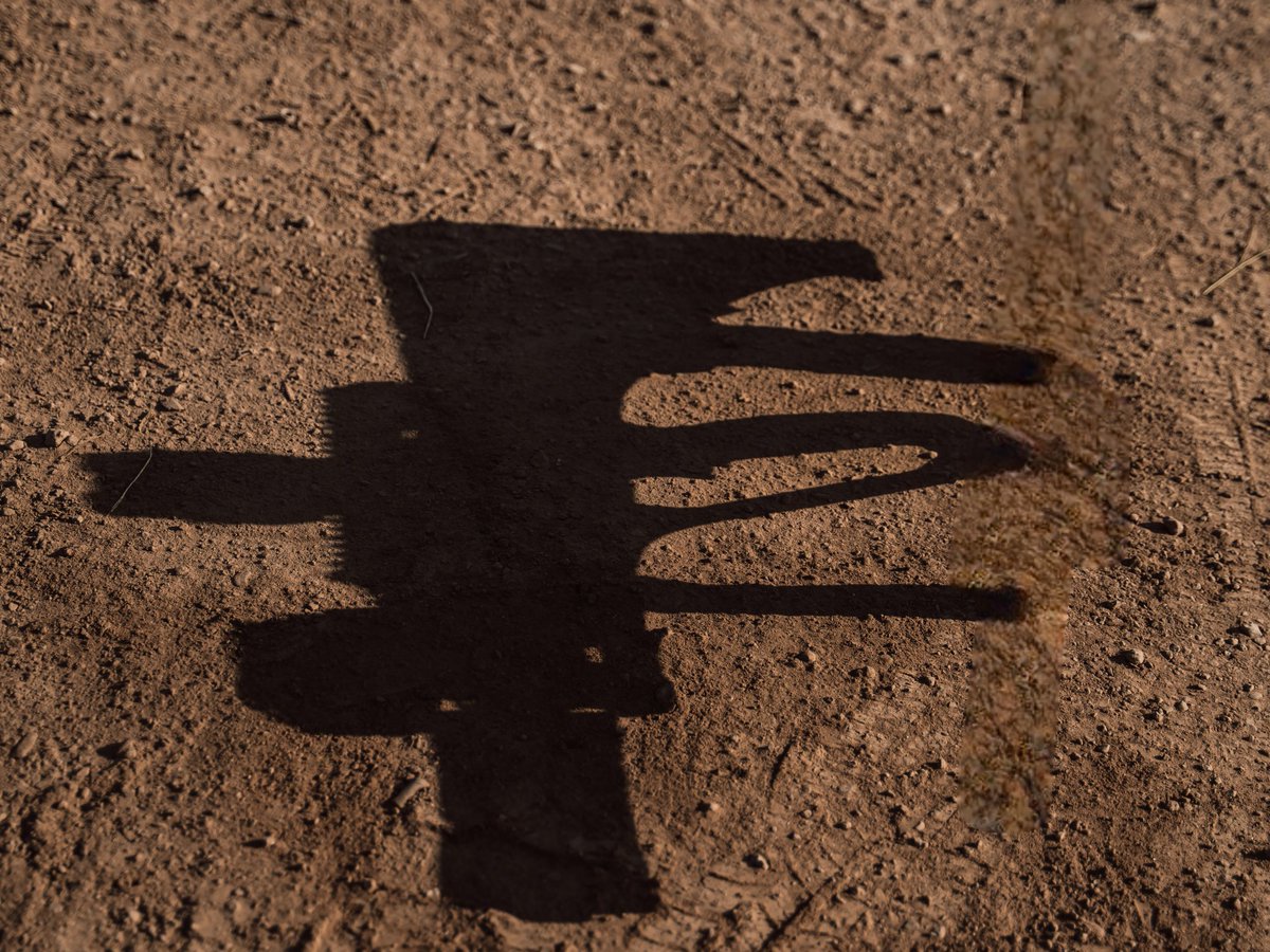 A scary shadow?

#aug #steyrarms #shadowguns