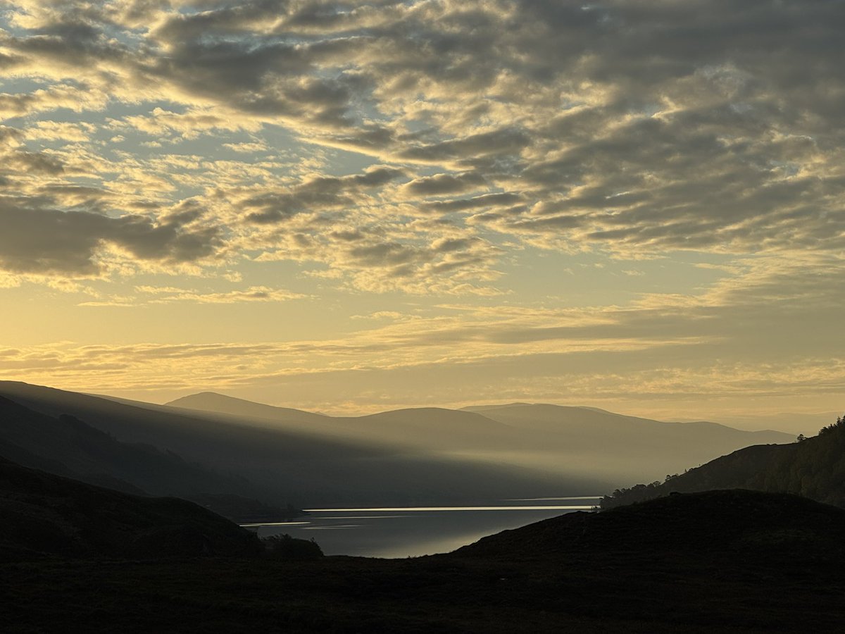 Morning light over Loch Arkaig this week 🌅
