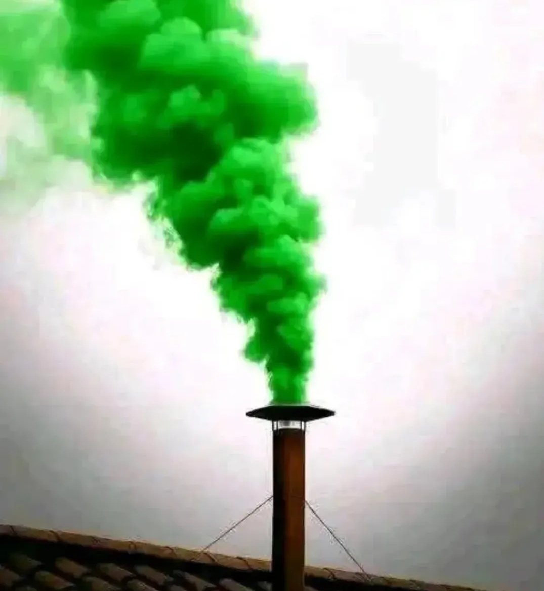 𝗦𝗲𝗻𝗶𝗼𝗿 𝗠𝗼𝗻𝗲𝘁 tweet media