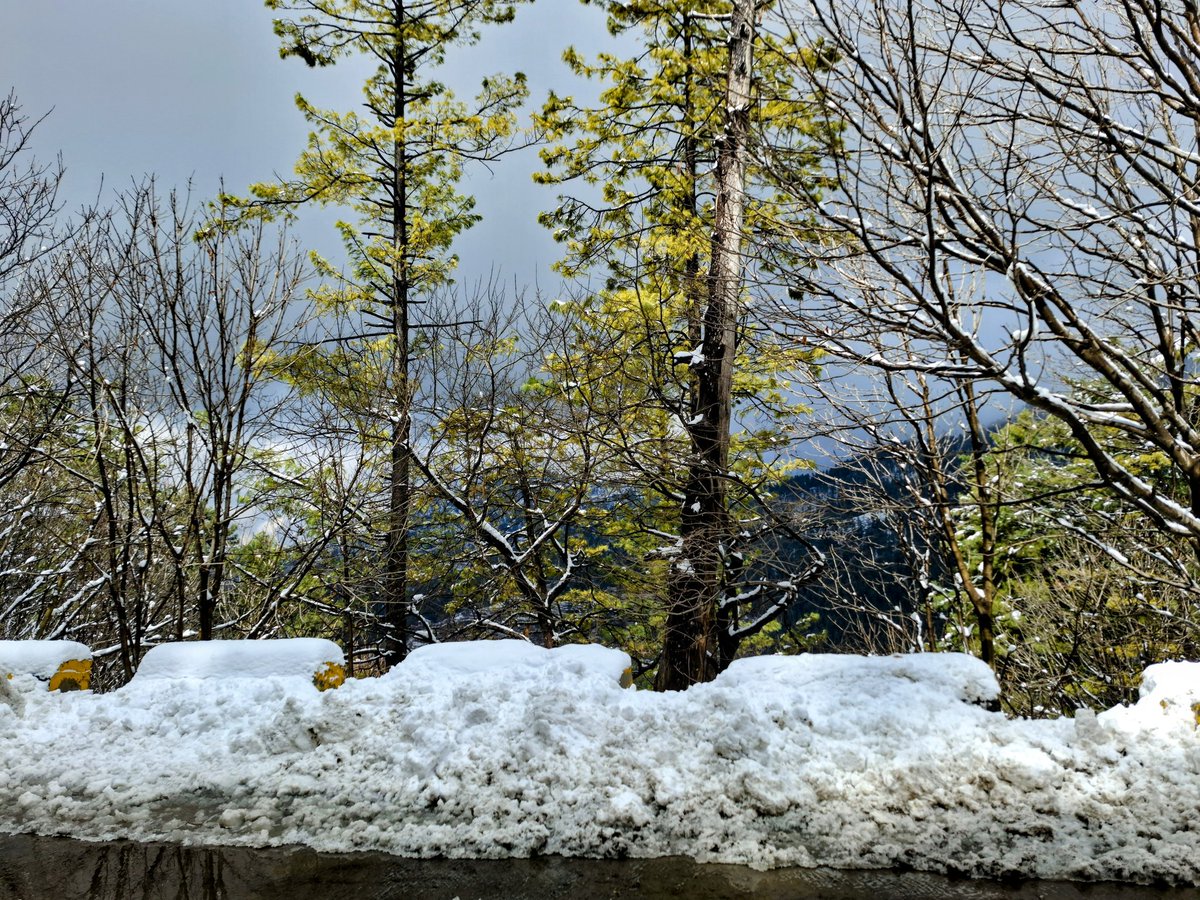 raabG01's tweet photo. Good evening 🥰😍 https://t.co/3g2T0k0dEi