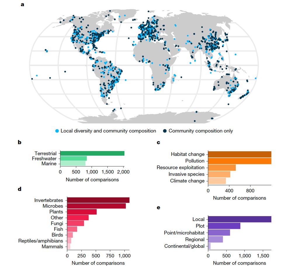 Our study ‘The #global #human impact on #biodiversity’ is out <a href="/Nature/">nature</a> nature.com/articles/s4158…   
🌍🌐🐟🌿🪲 🫎🦋🐝🪲

Unprecedented #synthesis of &gt;2000 studies shows humans are not only shrinking species numbers—but reshaping entire communities across the planet.

🧵1/4
