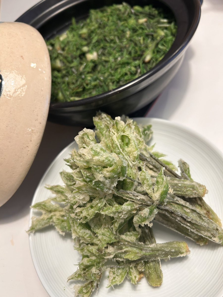 土鍋で炊いた白米にコシアブラをサッと茹でて塩もみしたコシアブラをふんだんに😋
うまーー👌