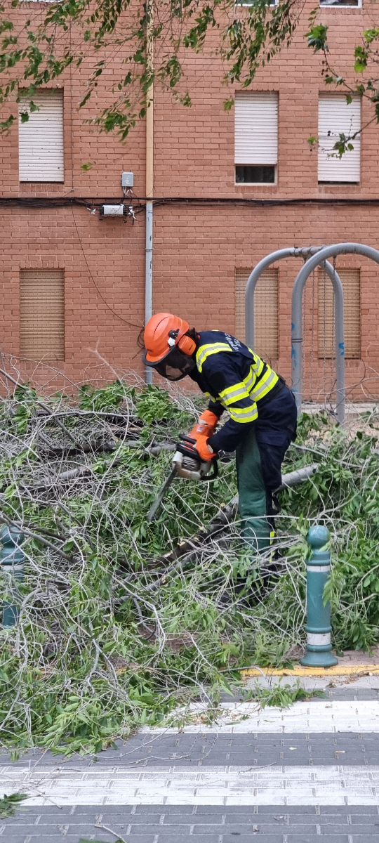 Emergencias está atendiendo varios avisos por caída de ramas/árboles en vía pública.

La racha máxima registrada hasta el momento ha sido de 62km/h en la estación del Mercado Central.

Sigue activado el aviso NARANJA.

Evita las zonas arboladas o con peligro de caída de obetos
