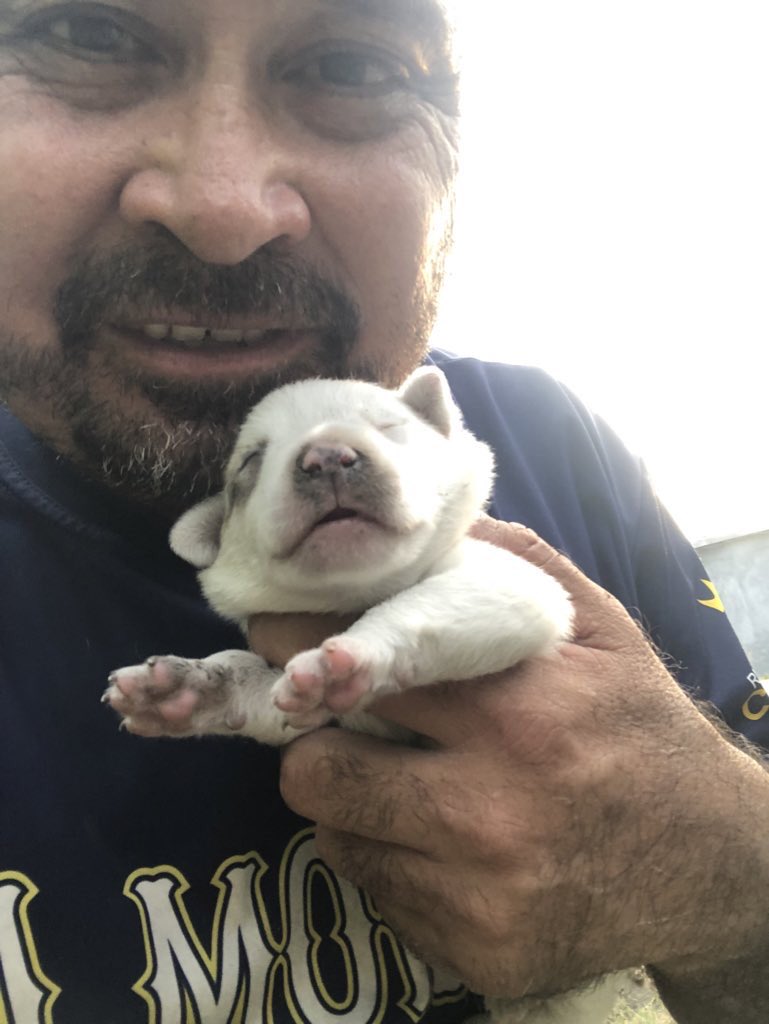 JorgeJaime_1's tweet photo. Un mini Teletón solo una hora 🙏🐶quien.guste apóyame muchas gracias https://t.co/HqHsPKRrsq