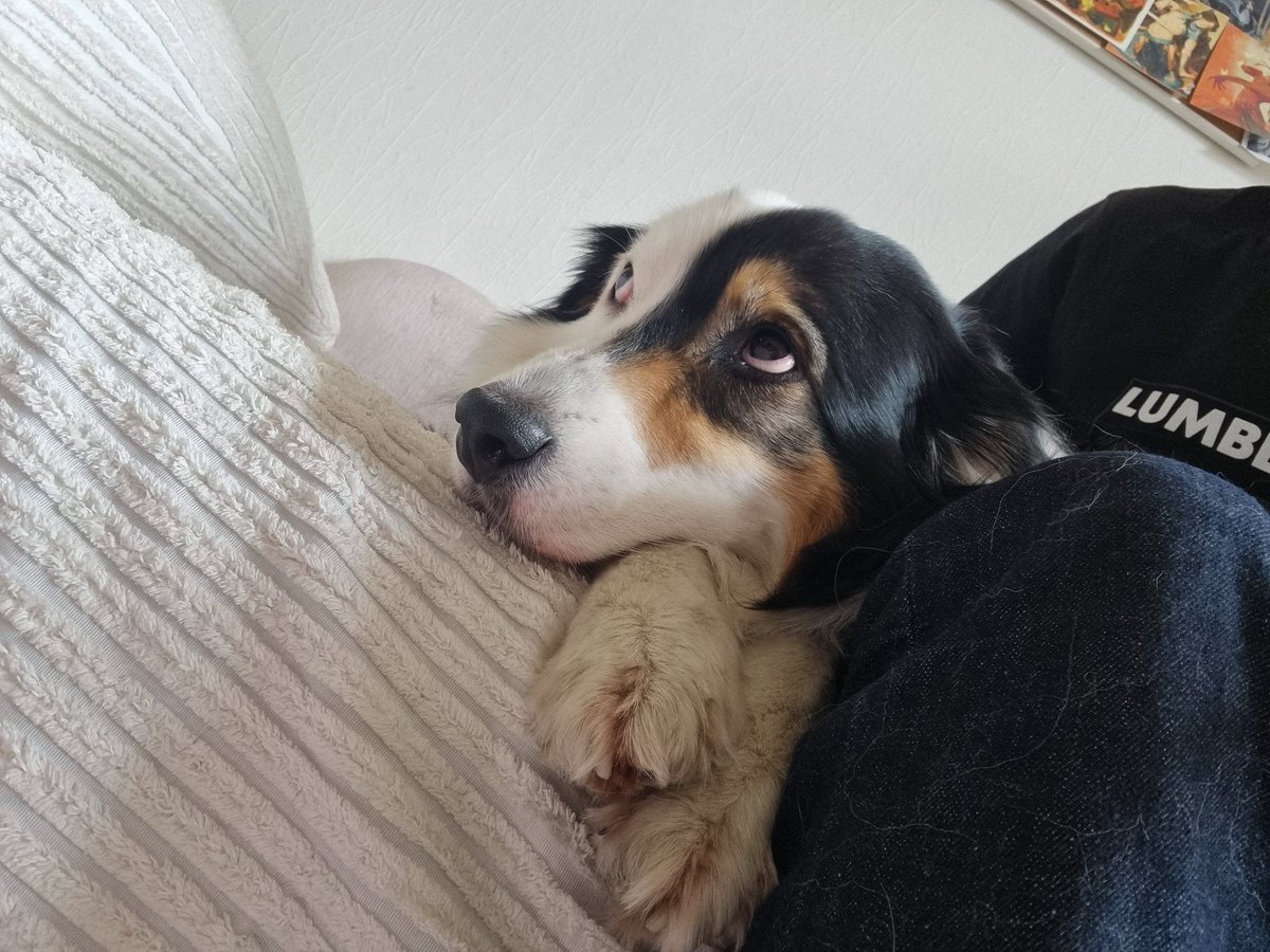 occasional_dreamer tweet media