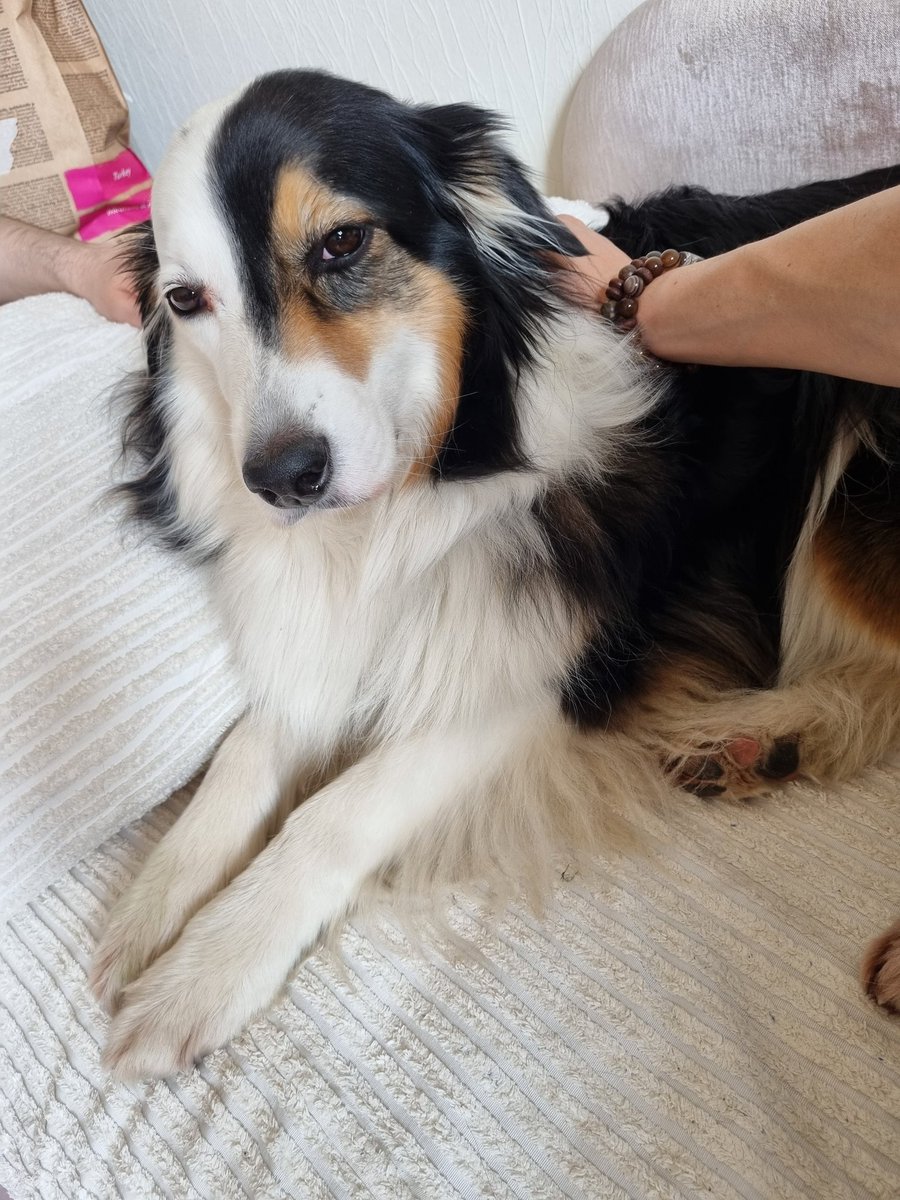 occasional_dreamer tweet media