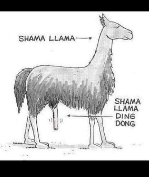 😉😂🤣😂😅🤣😂😅🤣😂😅