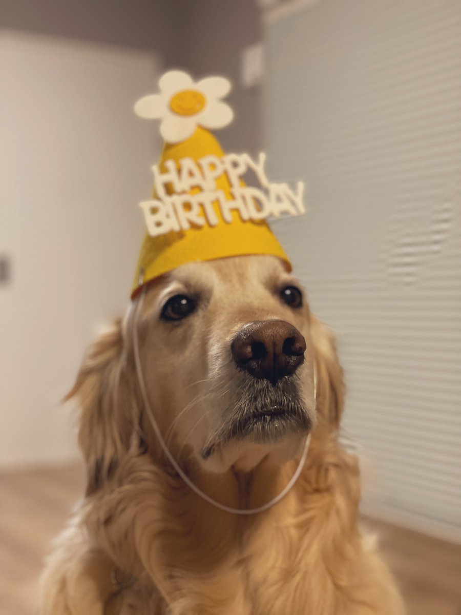 先日お嬢の5歳の誕生日でした。
このドギツイ色彩のケーキはお嬢のリクエストの元いつも通り🦍さんが作りました笑
リースくんもいちごもらえてよかったね✨