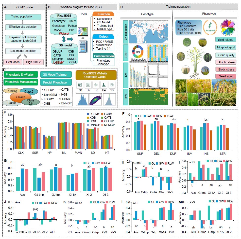 Rice3kGS: a powerful web platform and database for large-scale genome selection #resource #PlantCommunications cell.com/plant-communic…
