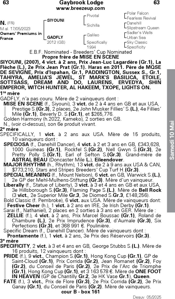 Nueva adquisición de <a href="/Patrikolave/">Patrik Olave Racing</a> por 105.000 € en la Breeze-Up de <a href="/InfoArqana/">ARQANA</a>.

Hijo de Siyouni y Gadfly (Galileo).