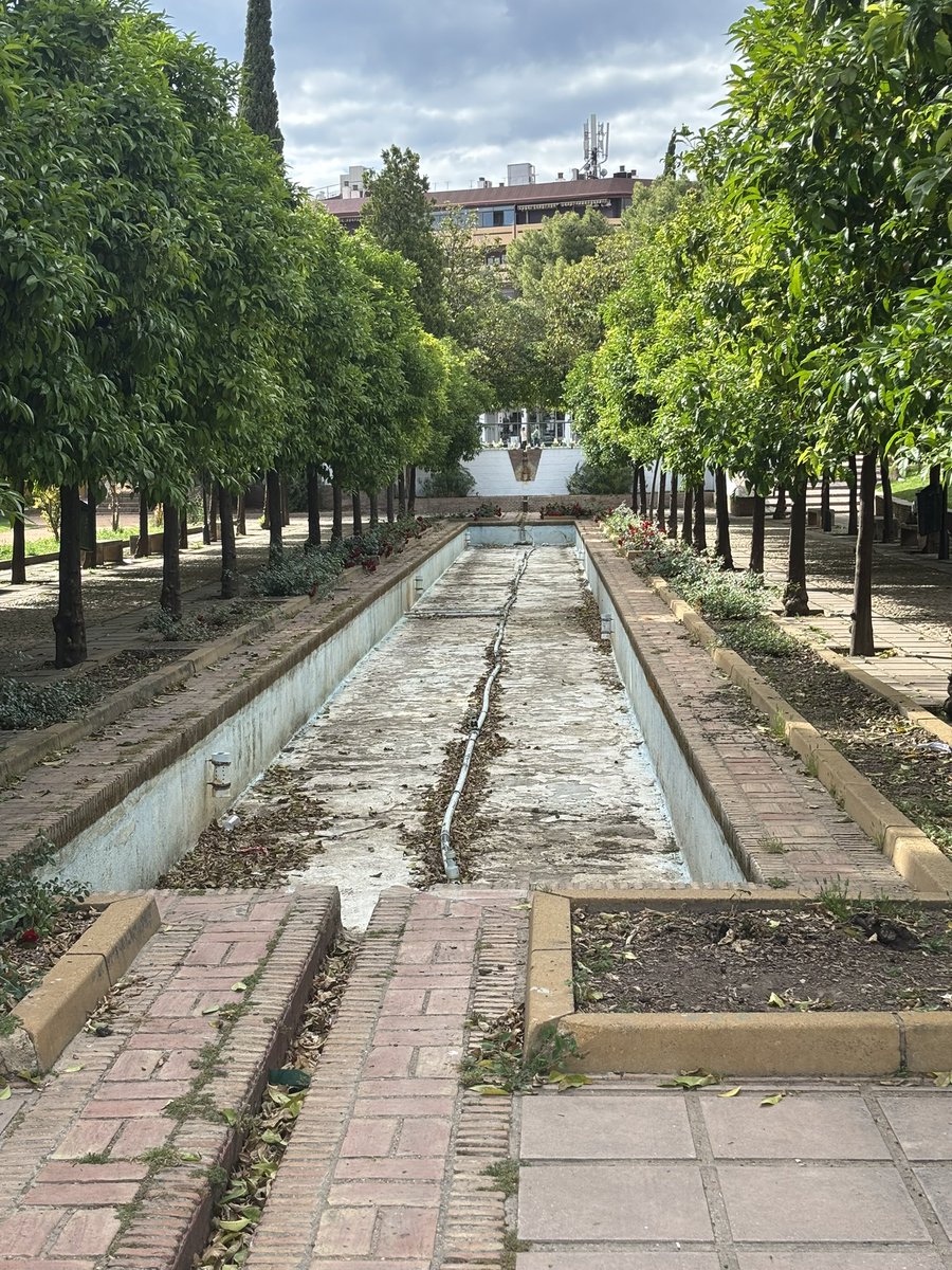Cada vez más abandonada y sucia la ciudad, una pena <a href="/ayuncordoba_es/">Ayuntamiento Córdoba</a> <a href="/MejoremosCordES/">Mejoremos CordobaESP</a>