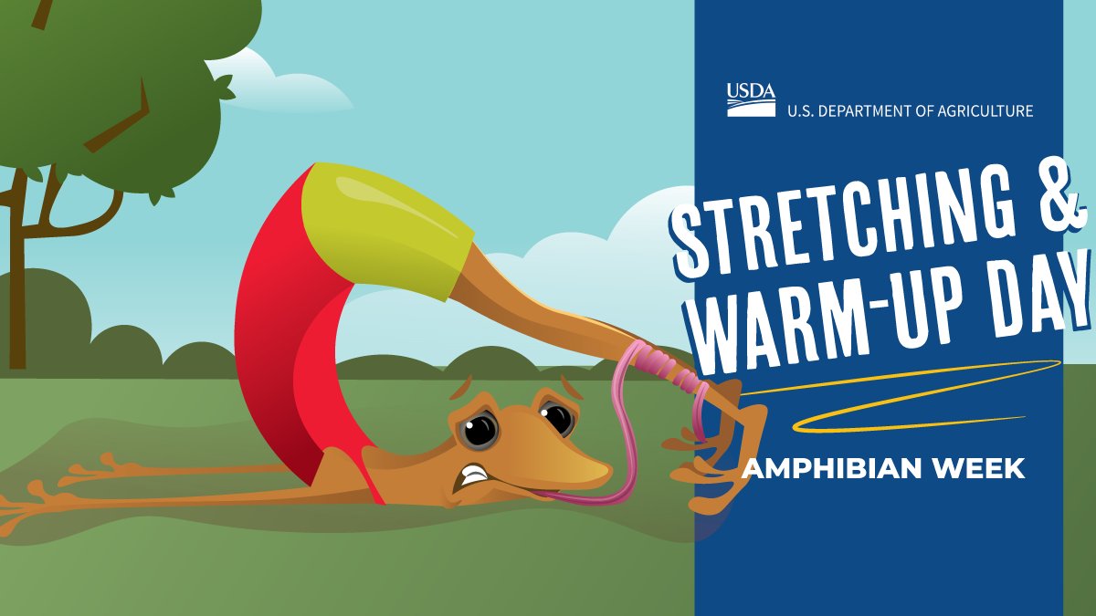 Come stretch into Amphibian Week with us! A proper warm-up and lots of training are key to success for both human and amphibian athletes! Our Wetland Reserve Easements ensure they have the habitat they need to train, thrive, and grow big and strong. nrcs.usda.gov/programs-initi…