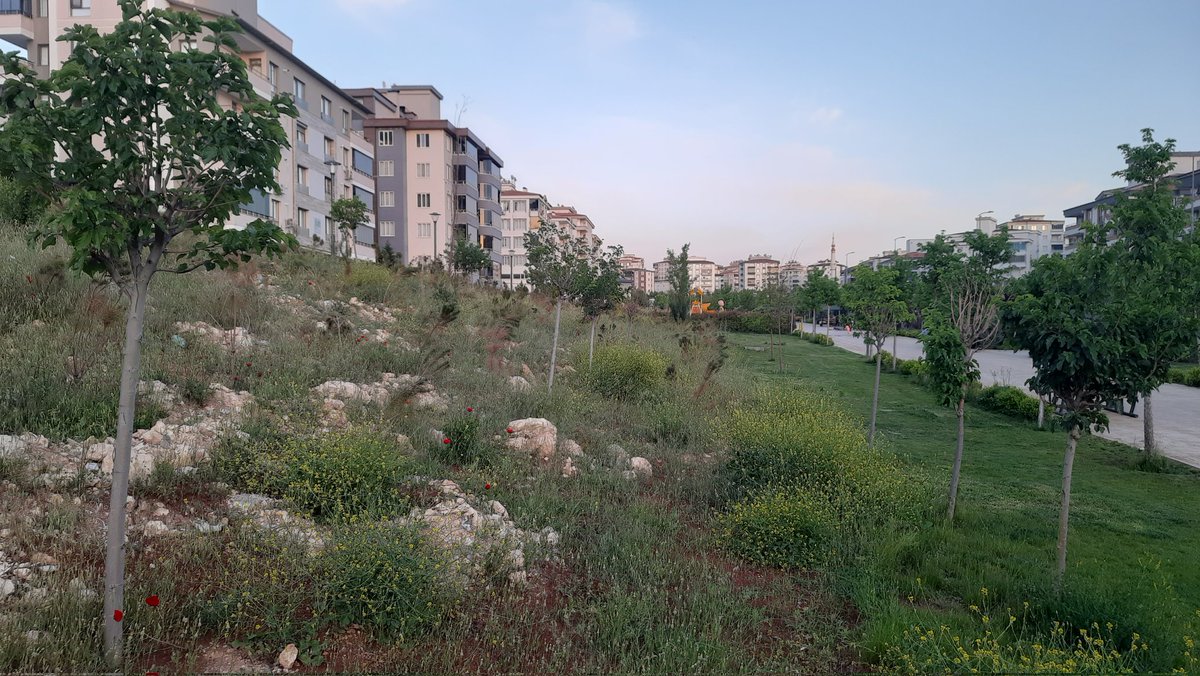 Erdinc Hamut tweet media