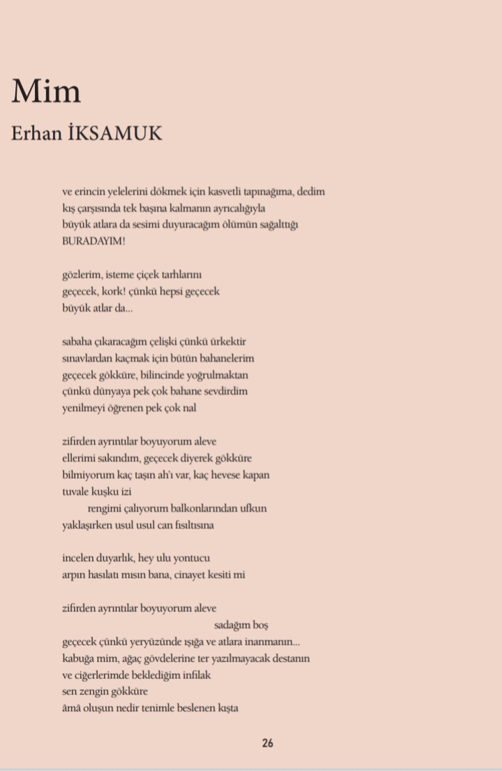 çünkü dünyaya pek çok bahane sevdirdim