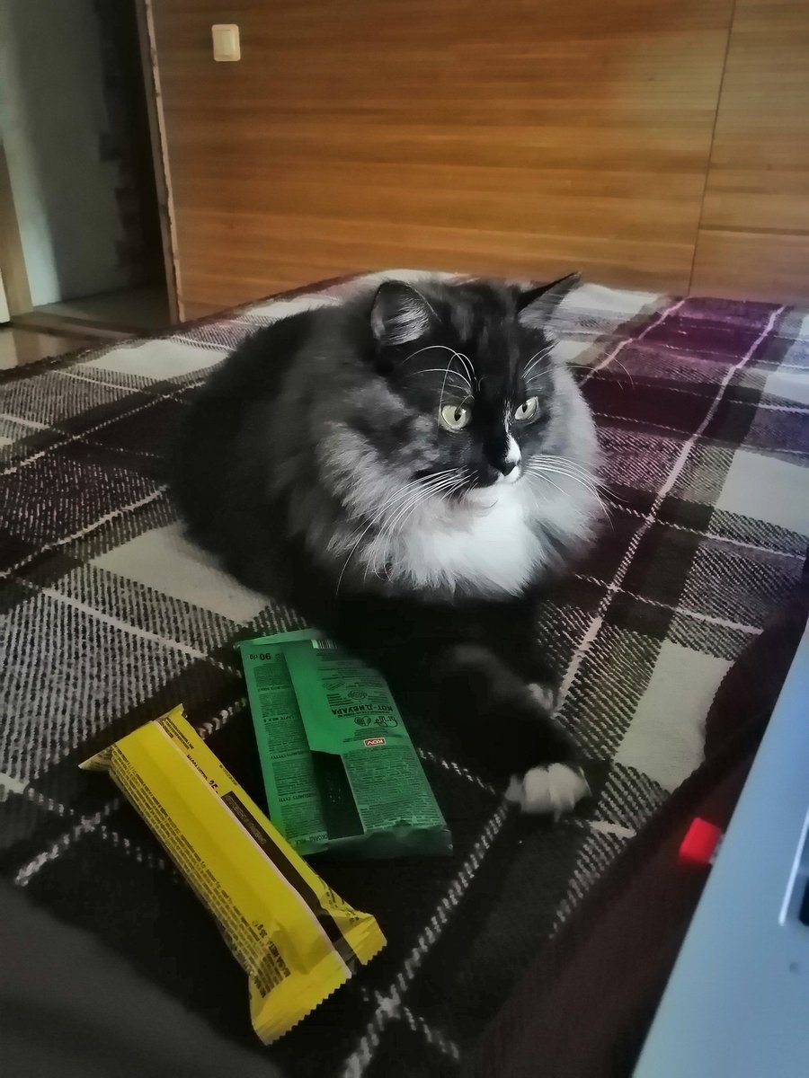 вор шоколадок