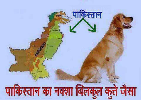 Is K*utte ko iske ghar me ghuskar khatam karo #indianarmy