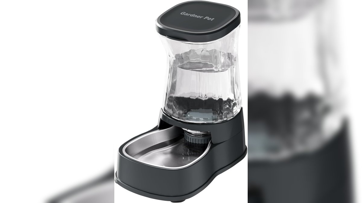Topwaterdispen4's tweet image. Keep your pet hydrated all day long with our Automatic Dog Water Dispenser! 🐕💧
For Info: bit.ly/3ZcaEIl

 #HydrationForDogs #PetCare #DogLovers