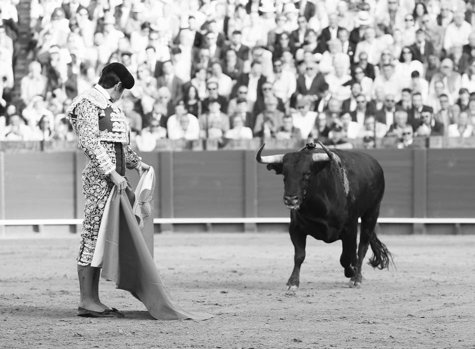InfoMAPerera's tweet photo. SEVILLA EN LA MEMORIA

Dos tardes que quedarán grabadas. Dos compromisos en la Maestranza, dos entregas sin reservas. Gracias, Sevilla, por lo vivido.

Ahora, la mirada ya está puesta en mañana, Las Ventas.

🙌🏽 Madrid nos espera.

#perera  #ilovetoros #temporada2025 #sevilla #madrid #lasventas #torero
