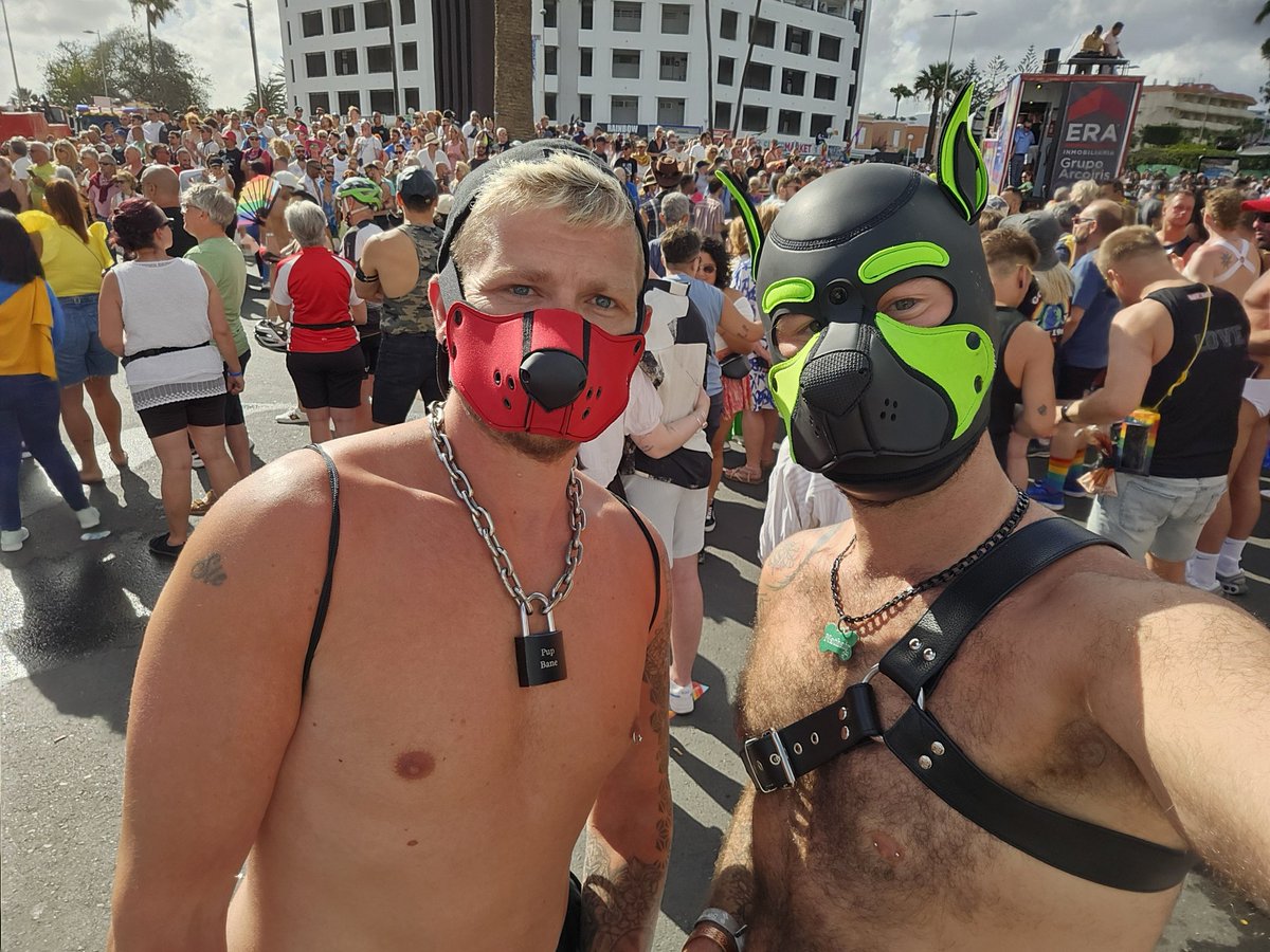 Doggos at maspalomas pride 🏳️‍🌈

❤️ <a href="/SnkerPupBane/">Alpha Himbo Pup Bane</a>