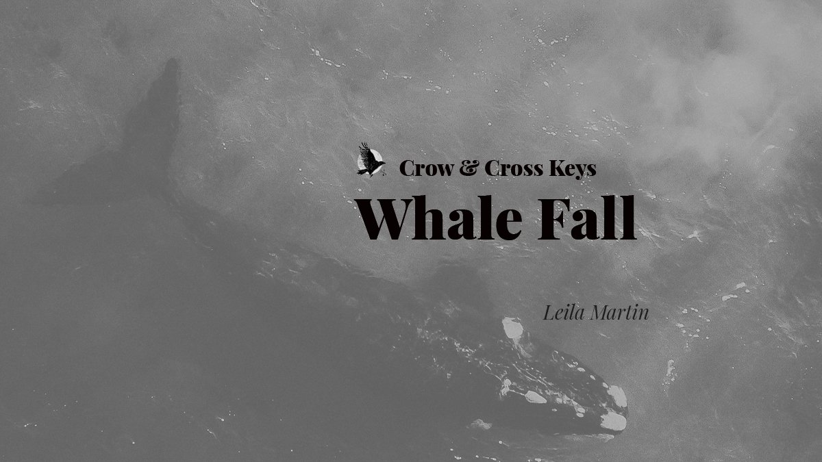 Deep in the bowels of the tower, there is a whale with a city on its tongue. We like to visit from time to time. In today’s short story witness a...

“Whale Fall” by <a href="/Bookishleels/">Leila Martin</a>

crowcrosskeys.com/2025/05/10/wha…