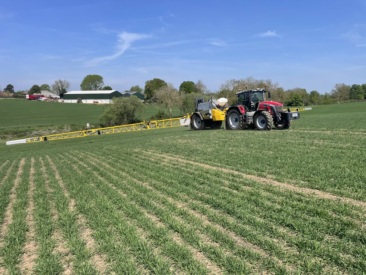 Nexus Chafer tweet media