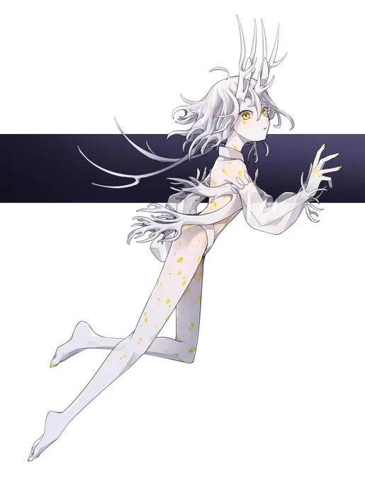 シロスギノハウミウシ 