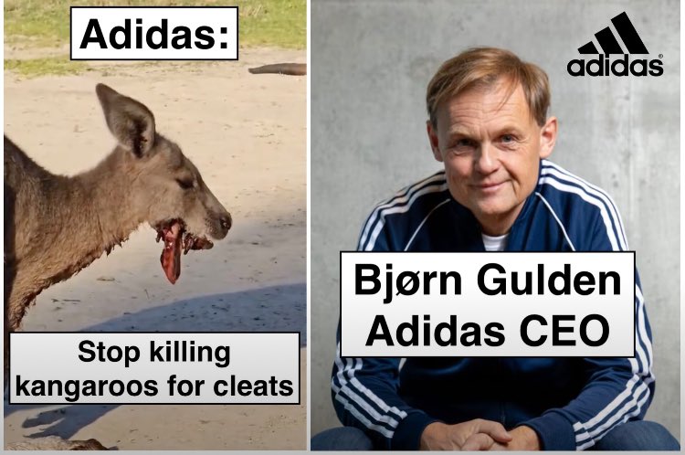 When the commercial hunters hired by #adidas kill Kangaroos, they sometimes miss their heads and shoot them in the jaw instead. The victims flee with these mortal wounds and die slowly, in agony.  

In May 2024, adidas CEO Bjorn Gulden publicly acknowledged that the Kangaroo hunt
