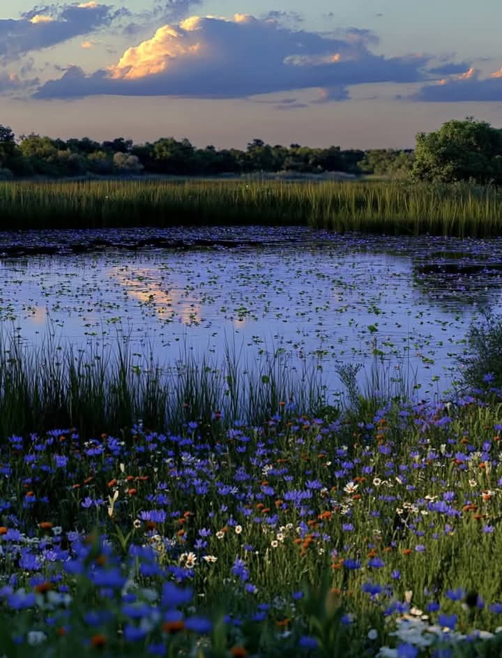 Francisco Ribeiro (@fraveris) on Twitter photo 