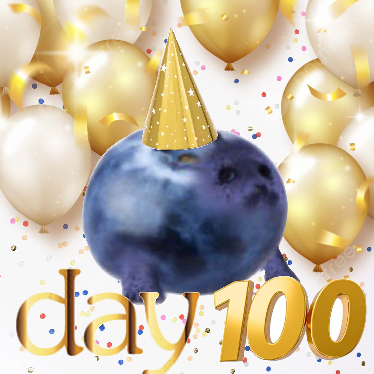 DAY 100 OF BLUEBERRY SEAL!!!!!