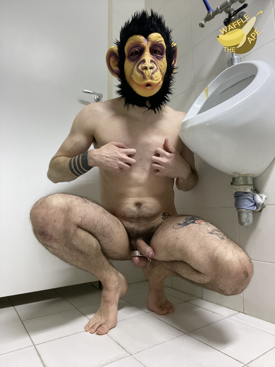 MAKE YOUR CHOICE! 🚾

Which urinal do you prefer? Waffle do offer cleaning services as well! OOOO-A! #handmadewithlove

🌳 See more in the Jungle! 🌳
linktr.ee/waffletheape