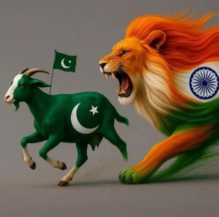 SKVerma14234670's tweet photo. #IndiaPakistanWar2025 #BSF 
#IndianArmy #CeasefireViolation 
#OperarionSindoor #warOn
 
इस बार अगर सिकार नहीं किया तो शेर 🦁 से विश्वास उठ जाएगा । 
Jai Hind https://t.co/oKCJHgF1XB