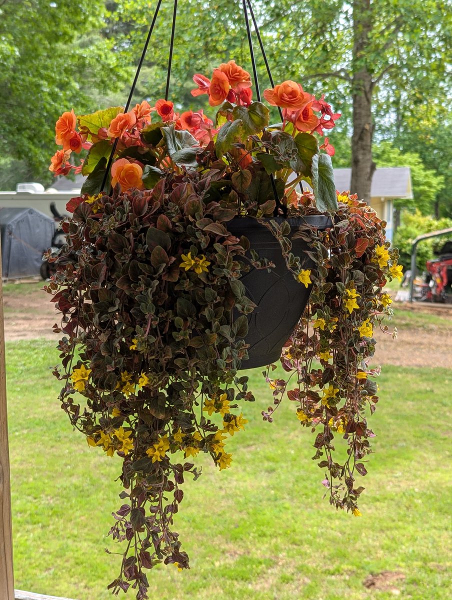 I'm a weener! I won a giveaway from my favorite farmstand! Isn't it so pretty 😻