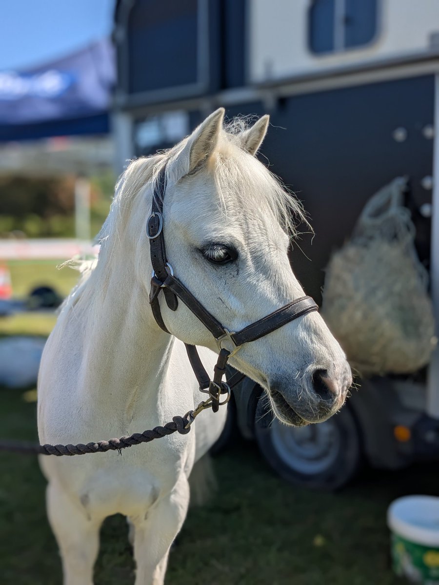 Hernhill Forum tweet media