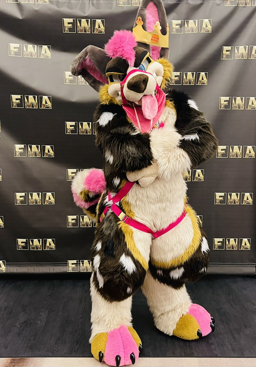 Really wish I was there this year at FWA

Getting to debut my suit last year in Atlanta was one of the highlights of my life for sure!

#FWA2025 #FWA2024