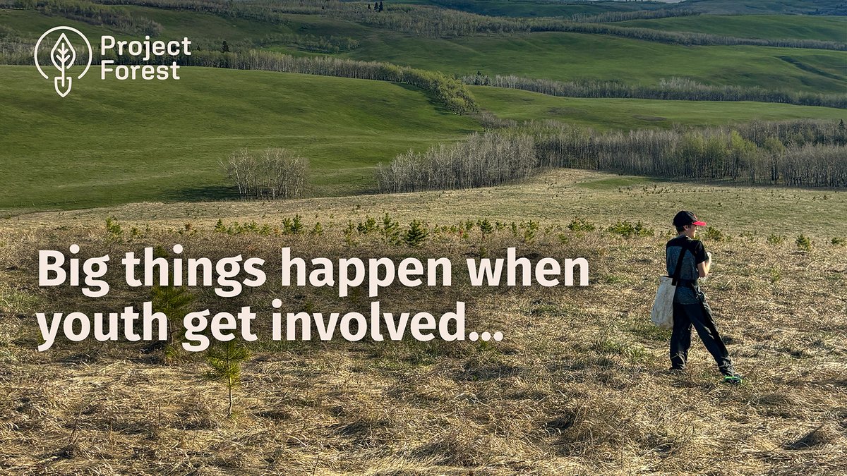 ProjectForest_'s tweet image. Shoutout to the Jr. Forest Wardens for planting with purpose this weekend! Youth-powered rewilding is the future we want to see. 💪

#ProjectForest #YouthInNature
