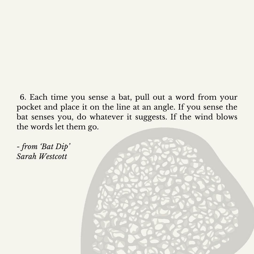The Marrow International Poetry (@themarrowpoetry) on Twitter photo Follow the batty instructions in <a href="/sarahwestcott1/">sarah westcott</a>'s 'Bat Dip' if you dare! Read it now: themarrowpoetry.com/issue-three/ba…
#newpoetry #dailypoem #poemoftheweek #poetryjournal #UKPoetry #PoetryUK Follow the batty instructions in <a href="/sarahwestcott1/">sarah westcott</a>'s 'Bat Dip' if you dare! Read it now: themarrowpoetry.com/issue-three/ba…
#newpoetry #dailypoem #poemoftheweek #poetryjournal #UKPoetry #PoetryUK