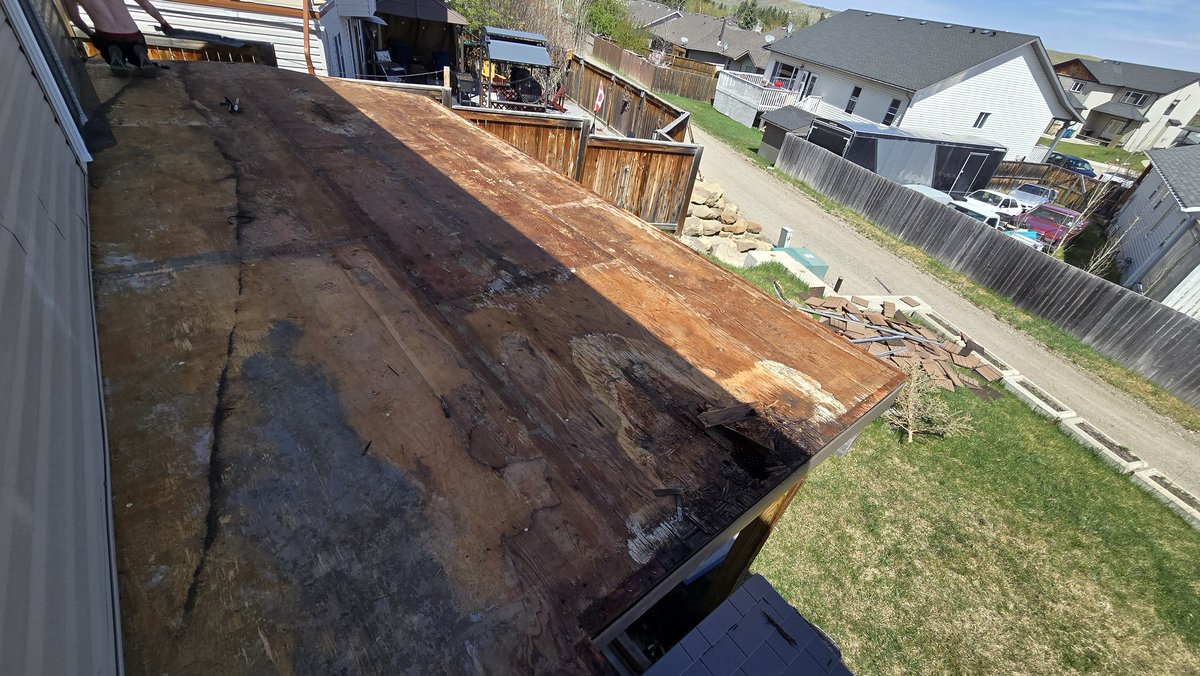 Brad In YYC 🇨🇦🇨🇦 tweet media