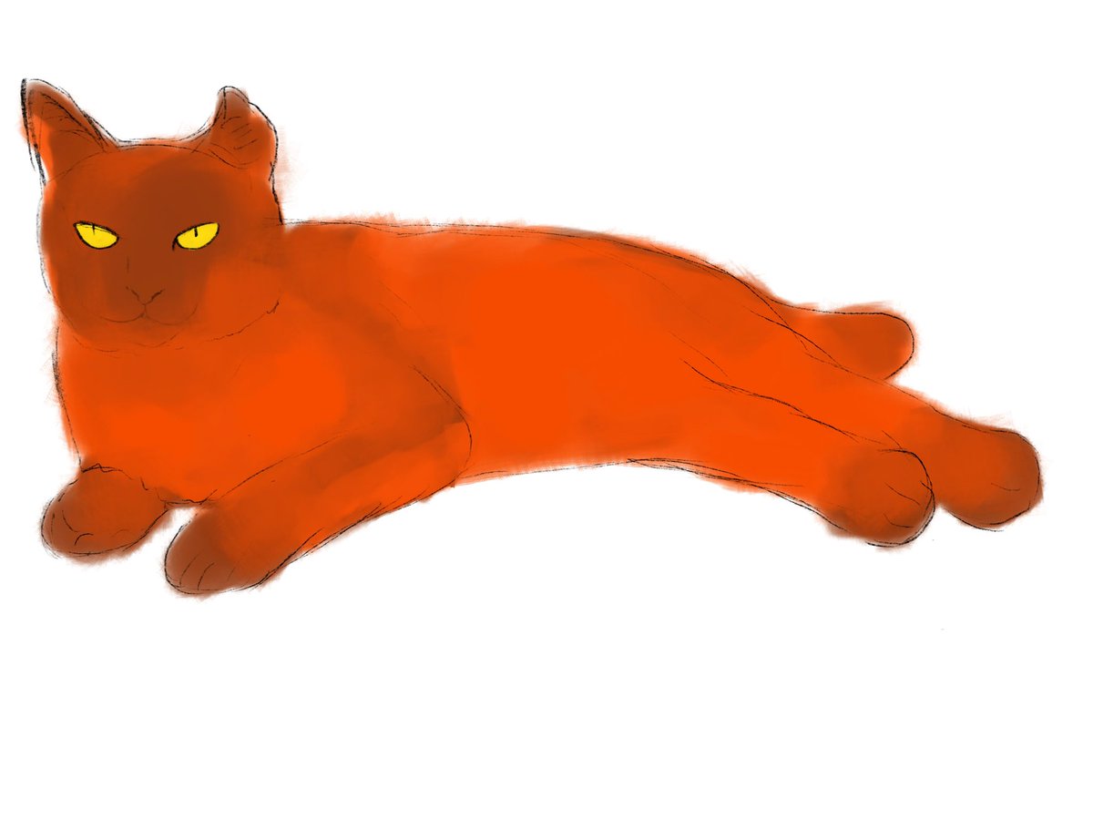 Galithour's tweet image. A fat and lazy cat
#smallartist #sketch