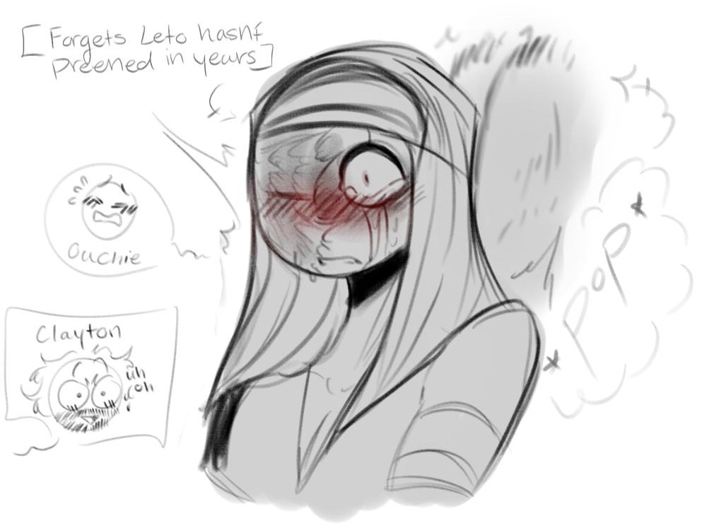 ScoutsWorld400's tweet image. When ur wings haven't been properly preened for years 🦆☠️
/silly 🦆✨🦆✨❤️‍🩹🥀
#Leto #doodles #oc #clayton I'm currently trying to get used to drawing fully bearded men dbdjekekekw cuz why not-