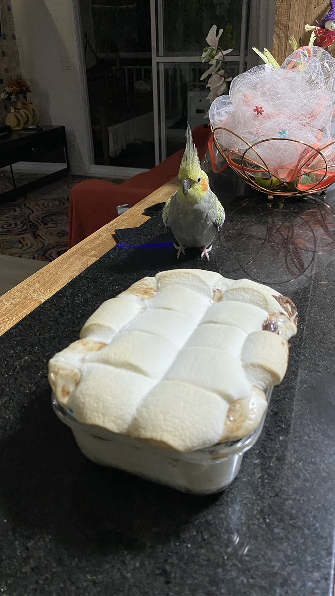 1zbstudy's tweet image. Estou sumida por culpa do final do semestre 💔